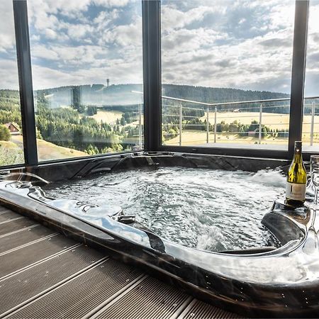 Wellness Villa Klinovec Views Loučná pod Klínovcem المظهر الخارجي الصورة