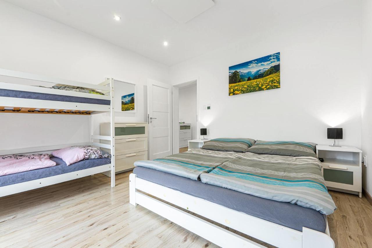 Wellness Villa Klinovec Views Loučná pod Klínovcem المظهر الخارجي الصورة