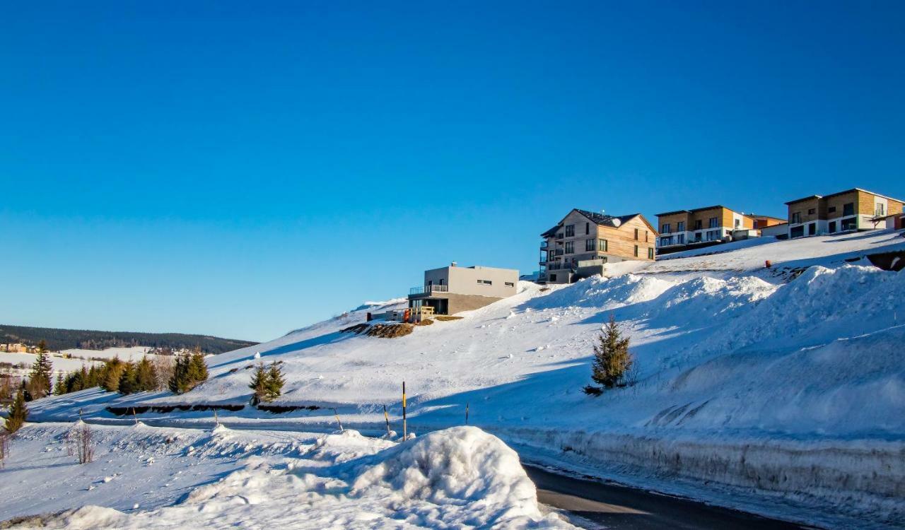 Wellness Villa Klinovec Views Loučná pod Klínovcem المظهر الخارجي الصورة