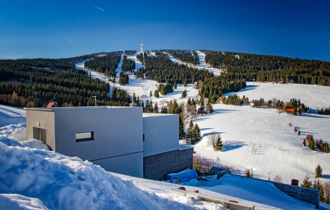 Wellness Villa Klinovec Views Loučná pod Klínovcem المظهر الخارجي الصورة