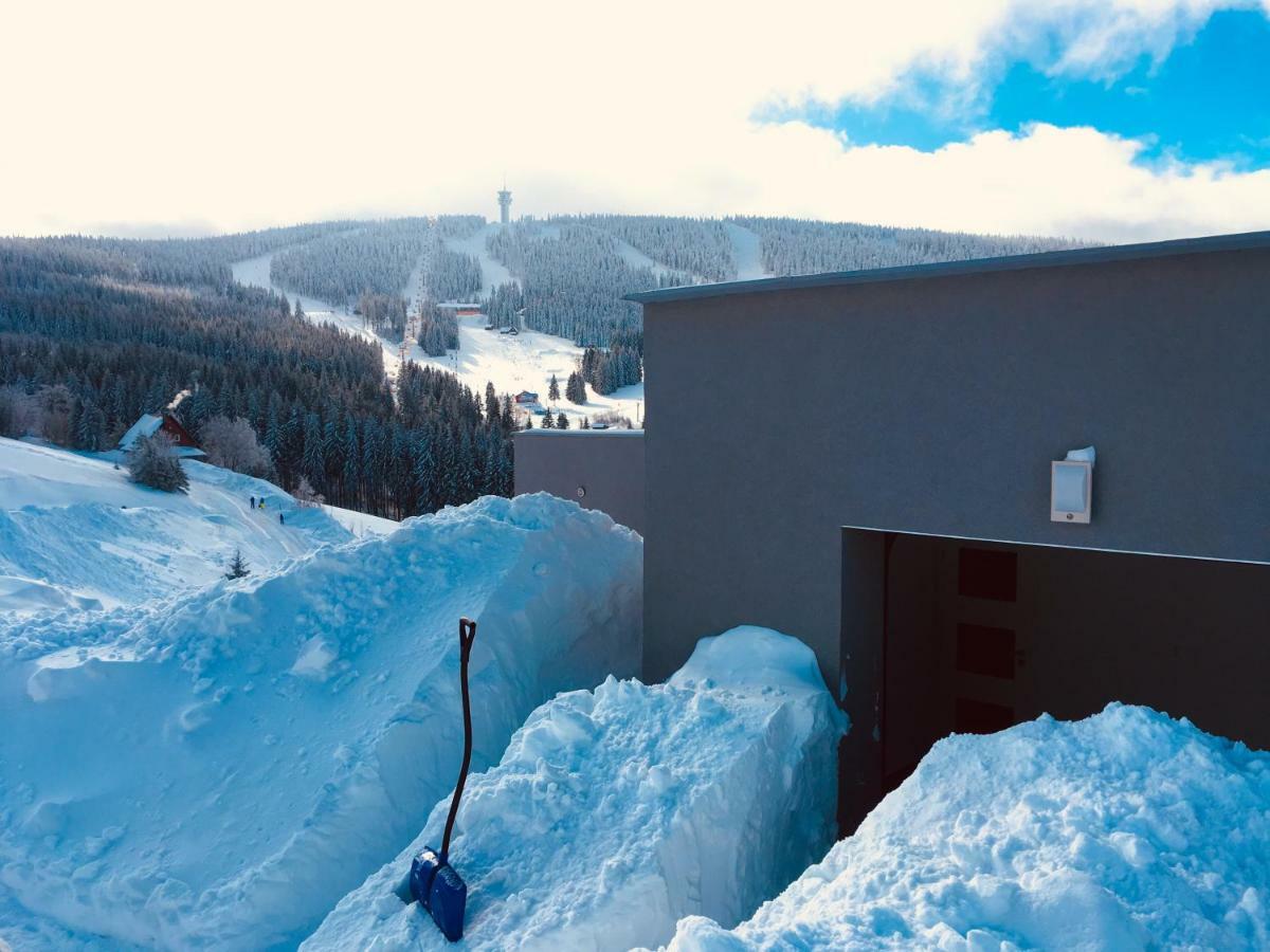 Wellness Villa Klinovec Views Loučná pod Klínovcem المظهر الخارجي الصورة